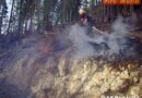 Oö: Waldbrand in unwegsamen Gelände im Bad Ischl gerade noch verhindert