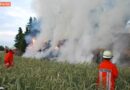 Deutschland: Wieder Brandstiftung in Buxtehude -> ca. 150 Strohballen brannten