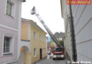 Oö: Turmfalke mit Hilfe von Drehleiter eingefangen