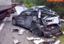 Nö: Pkw von Lkw gegen Leitschiene gedrückt -> 2 tote Hunde bei Krems