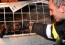 Oö: Scheunenbrand während eines Gewitters in Marchtrenk