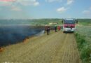 Nö: Flurenbrand in Prellenkirchen durch Erntezeit begünstigt