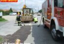 Nö: 600 Meter lange Rapsspur durch Haslau