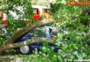 Stmk: Baum stürzte in Judendorf auf parkendes Auto
