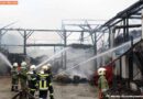 Oö: Tiere bei Bauernhausbrand in St. Leonhard bei Freistadt gerettet