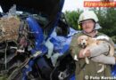 Oö: Schwerer Verkehrsunfall auf der B 38 – Hund unter Rad gerettet