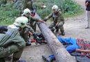 Bgld: Forstunfall und Traktorbrand
