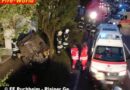 Oö: Pkw krachte gegen Baum