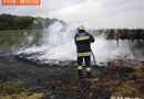 Bgld: Brand mehrerer Strohballen beim Seewald in Illmitz