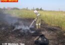 Bgld: Schilfbrand in Mörbisch