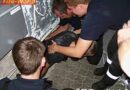 Nö: Katze in engen Schacht gefangen