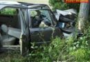 Nö: Mit Pkw auf B 54 bei Wiener Neustadt gegen Baum geprallt