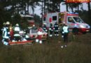 Nö: Personenrettung nach Unfall auf der L9 / Safaripark Gänserndorf