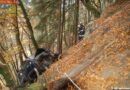 Tirol: 100 m Pkw-Absturz im Steilgelände -> 2 Personen gerettet