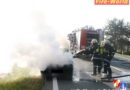 Bgld: Pkw-Brand auf der B 63 bei Pinkafeld