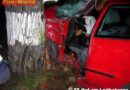 Nö: Lenker prallte nach einer starken Kurve gegen einen Baum