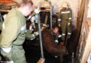 Oö: Kuh in Lasberg aus Schwemmkanal befreit