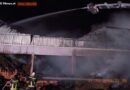 Nö: 500 Schafe bei Großbbrand in Petzenkirchen verbrannt, 50 gerettet