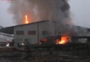 D: Großbrand in einem Sägewerk in Sülze -> 2 Millionen Euro Schaden