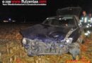 Nö: Weiterer schwerer Unfall bei Utzenlaa (LH 45)