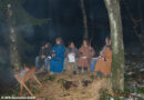Nö: Waldweihnacht 2008 der Feuerwehrjugend – AFK Amstetten-Stadt