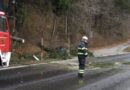 Oö: Sturmböen in Bad Ischl -> Baum auf B 145 gestürzt