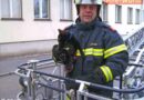 Nö: Katze in Wr. Neustadt mit Drehleiter vom Baum geholt
