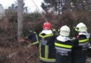 Bgld: Hobby-Fäller holten dann doch die Hilfe der Fauerwehr (Bad Sauerbrunn)
