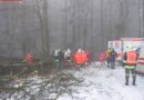 Oö: Arbeiter in Hochburg-Ach unter Baum eingeklemmt