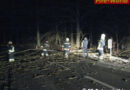 Oö: Umgesägter Baum über Straße in Ostermiething