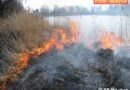 Vbg: Schilfbrand in Höchst