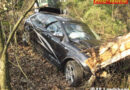 Oö: Verkehrsunfall in Landshaag -> Pkw riss 2 Bäume ab