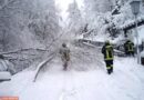 Nö: Schneelast ließ Baum in Payerbach auf Fahrbahn stürzen