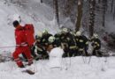 Tirol: Lenkerin mit Auto in Wiesing in Wald abgestürzt und eingeklemmt
