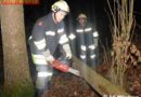 Oö: Baum in Windern über Fahrbahn gestürzt