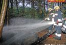 Oö: Baumhausbrand in Eggelsberg auf Wald übergegriffen
