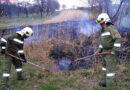 Bgld: 300m² Schilf aus unbekannter Ursache in Brand geraten
