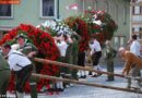 Oö: FF Gutau -> Mühsam aufgestellter Maibaum in Verlust geraten