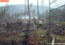 Stmk: Waldbrandbekämpfung am Plesch in St. Pankrazen-Gschnaidt