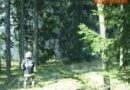 Nö: Klein Burgstall (Maissau) – 100.000 m² Wald in Vollbrand