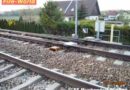 Nö: Bahndammbrand und Brand einer Weichenanlage