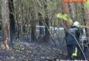 Nö: 12 Feuerwehren bei Stamm- und Bodenbrand in Waldegg im Einsatz