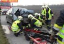 Nö: Pkw Lenkerin prallte mit ihrem Fahrzeug frontal gegen einen Baum