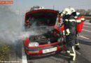 Nö: Pkw-Vollbrand auf der B 17 in Wiener Neudorf
