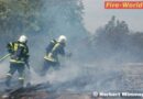 Nö: Brennende Holzpaletten in