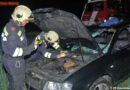Nö: Reh durschlug Windschutzscheibe-> Lenker schwer verletzt