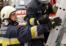 Nö: Kleiner Spatz in Not -> Tierrettungseinsatz in Baden