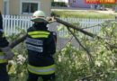 Nö: Pkw gegen Baum, 2 verletzte Personen in Gänserndorf