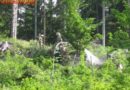 Ktn: Waldbrand im Eggforst in Hermagor verhindert
