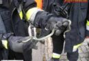 Nö: Tierischer Einsatz in Maria Enzersdorf -> Schlange in Garage
